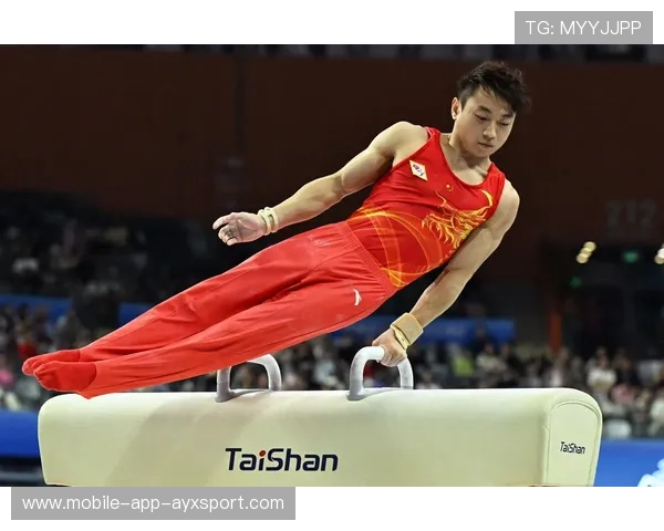 体操鞍马选手全程稳定无明显瑕疵 体操鞍马选手全程稳定无明显瑕疵